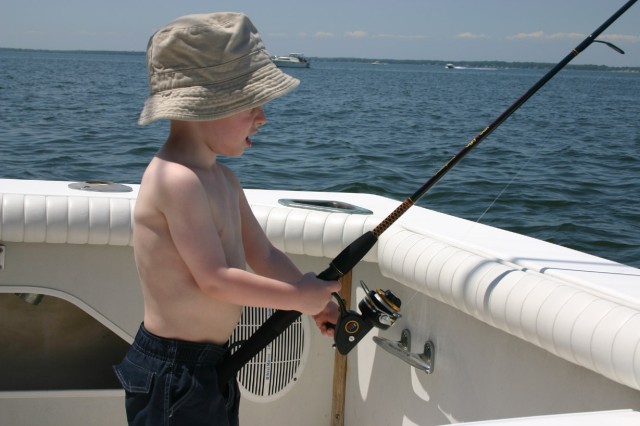 Click for original image 204k 1229x819